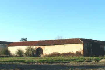 Sfoglia la galleria